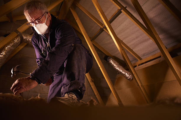 Best Eco-Friendly Insulation in Framingham, MA